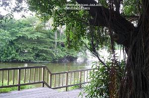 Kaohsiung 026